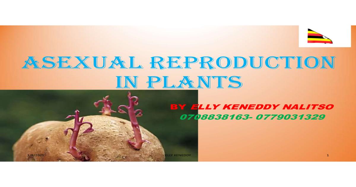 Asexual reproduction in plants