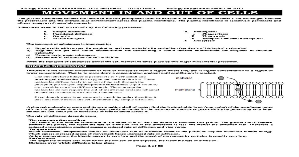 Complete Transport Notes A level Biology