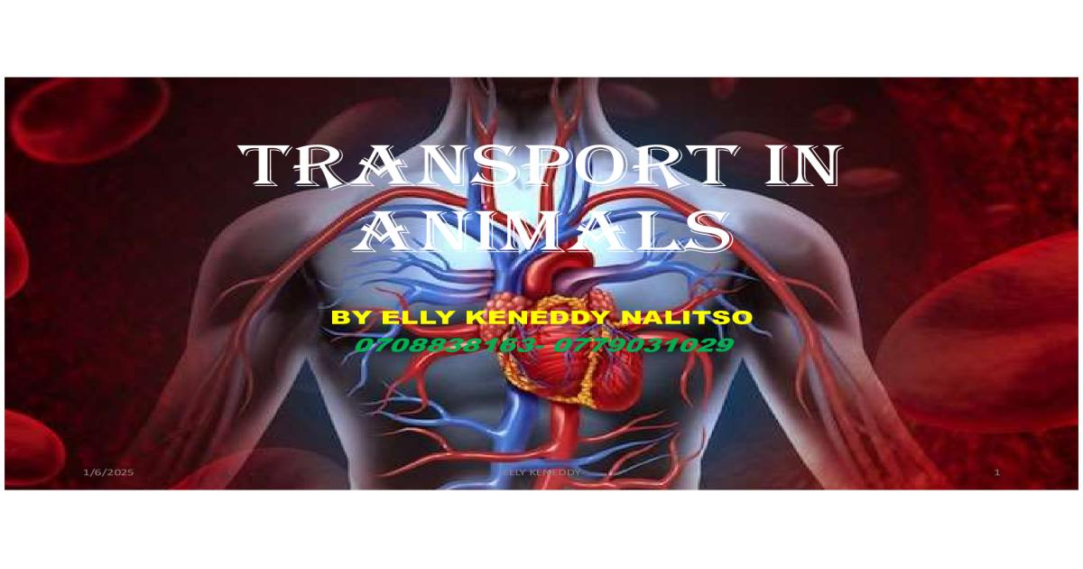 Transport in animals notes by Elly keny