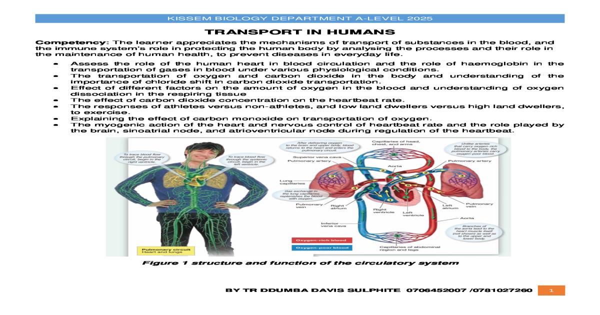 S5 TRANSPORT IN HUMANS NOTES BY TR SULPHITE