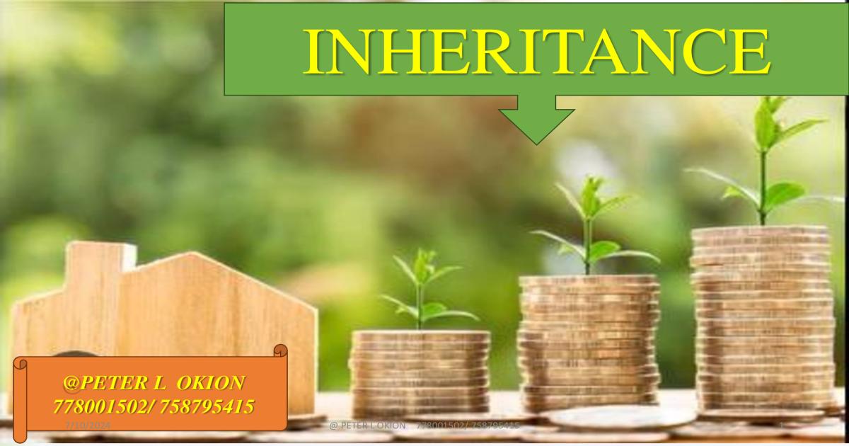 S4 INHERITANCE BY TR. OKION