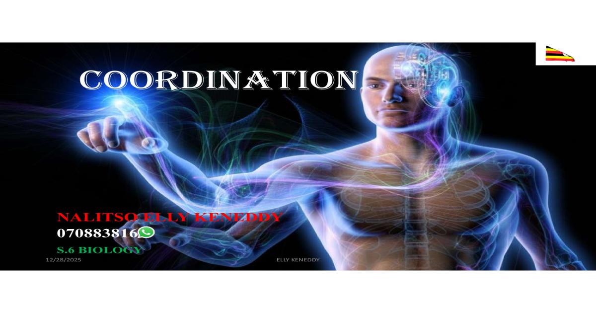 A-Level Coordination Notes for CBC 2026 Curriculum