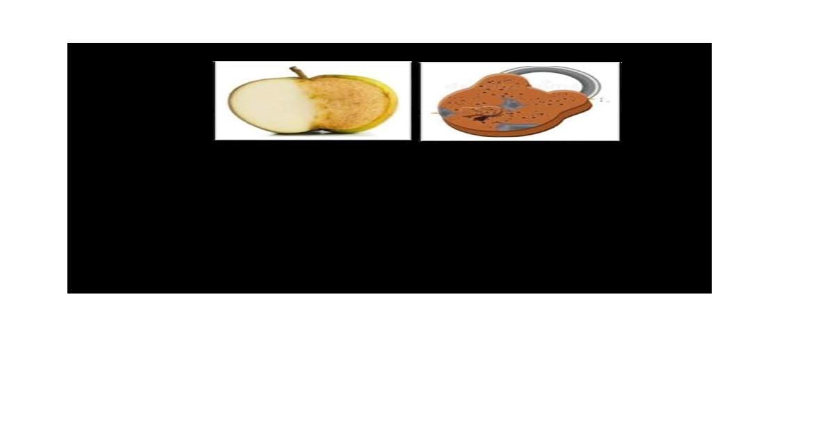 Oxidation and Reduction Notes CBC
