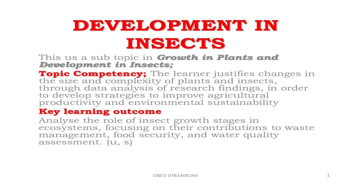 Biology Notes: Development in Insects