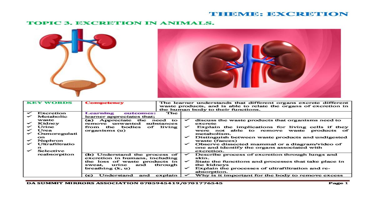 S.3 Biology: Excretion Notes - DASMA Uganda
