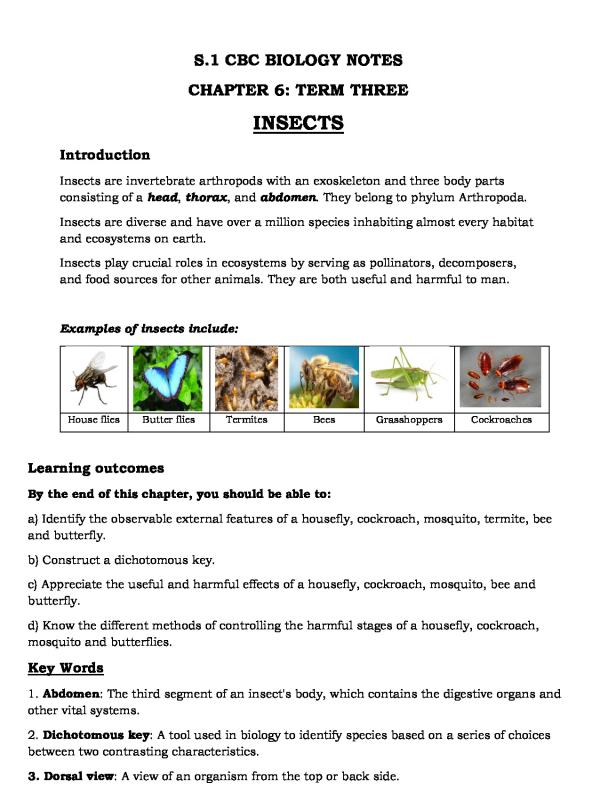 S1- Insects CBC Biology Notes 2026