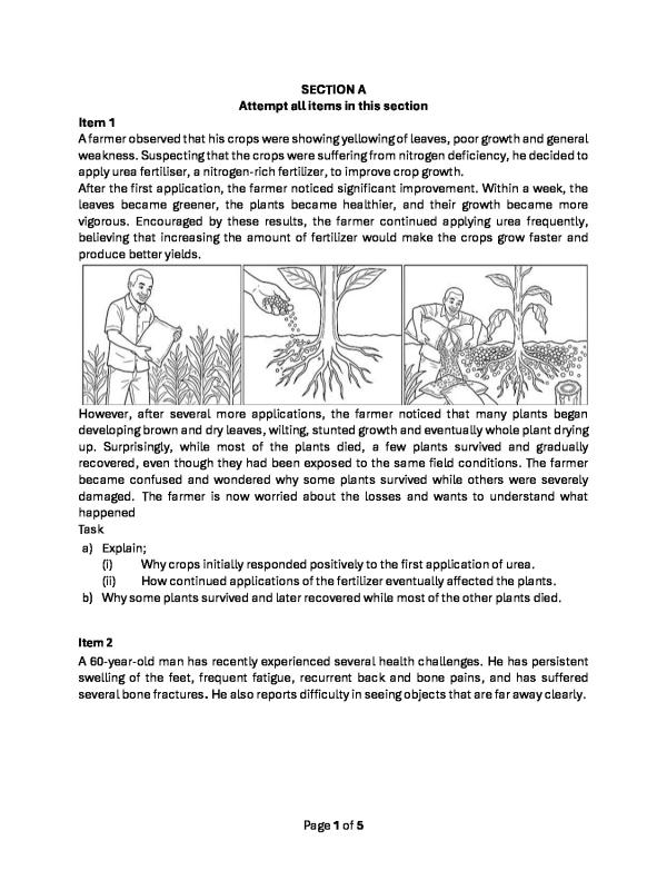 Revision Stand Educational Resources for Ugandan Students