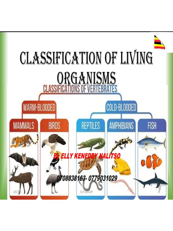 CLASSIFICATION NOTES FOR SENIOR ONE  CBC CONCEPT