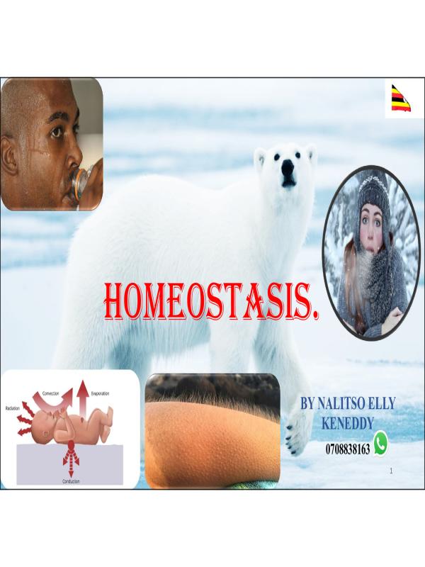 SENIOR FIVE  BIOLOGY  HOMEOSTASIS NOTES
