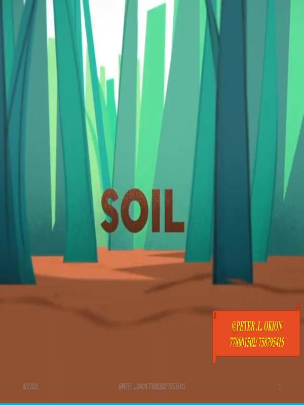 SOIL -SENIOR TWO BIOLOGY NOTES