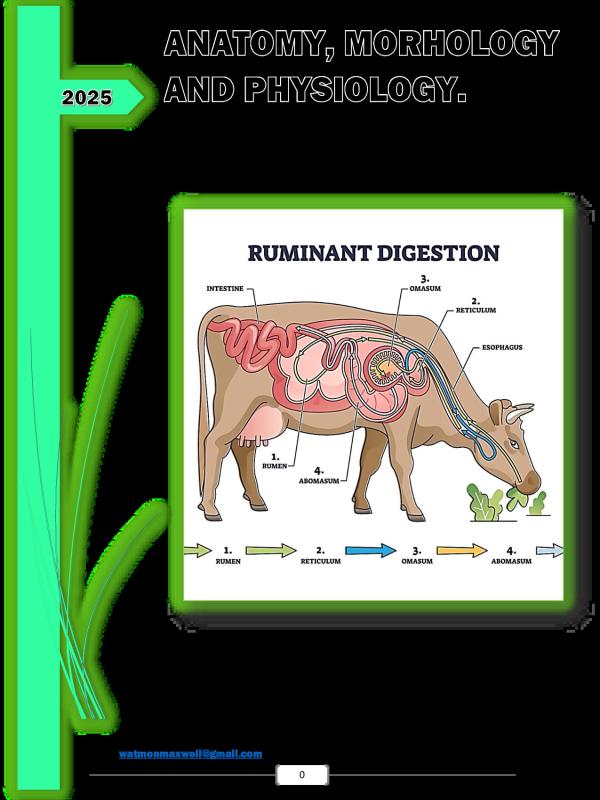 S5 Biology Notes  Anatomy, Physiology & Morphology