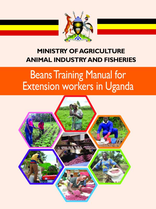 A Level Agriculture CBC: Growing Beans Notes and Resources - Uganda