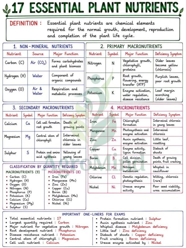 NUTRIENTS: AGRIC S1-S6 UNEB Revision Notes