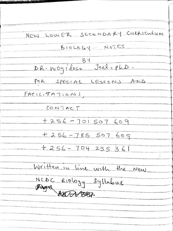 Senior 3 Biology Coordination System Notes